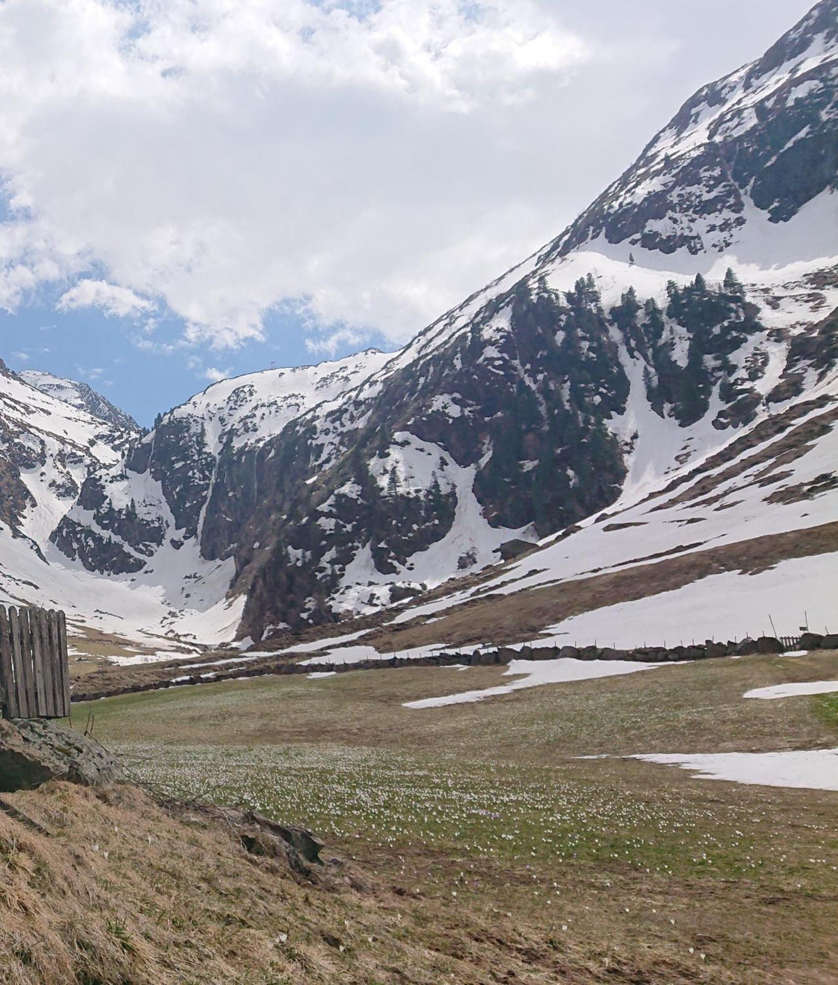Landhaus Susanne Neustift im Stubaital Extérieur photo